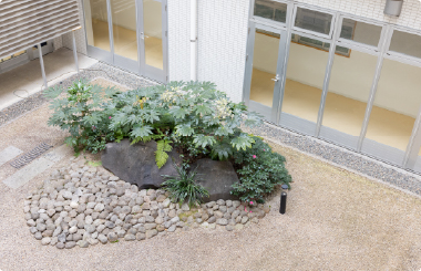 中庭庭園